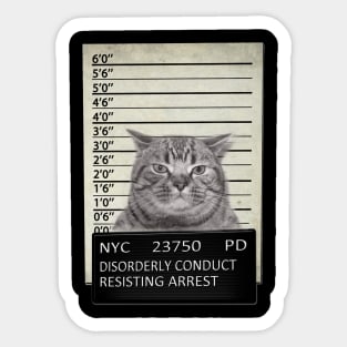 Cat Mugshot NYC Sticker